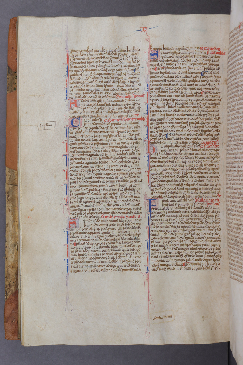 Folio 95 verso